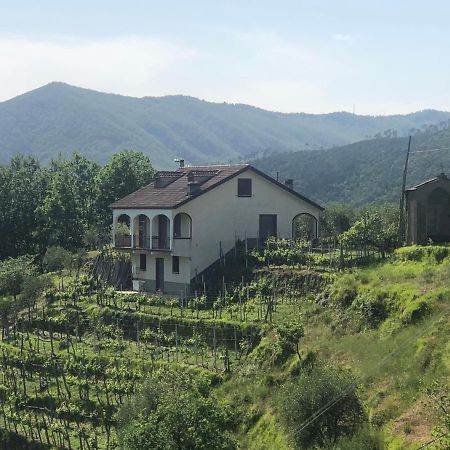 Villa Elena Mezzanego Exteriör bild