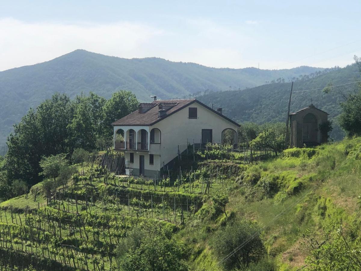 Villa Elena Mezzanego Exteriör bild