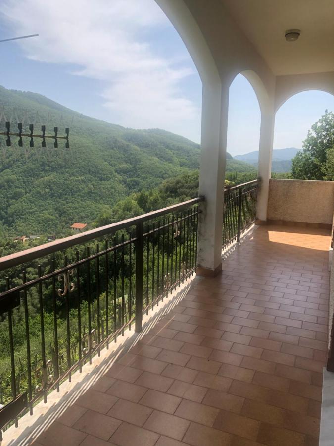 Villa Elena Mezzanego Exteriör bild