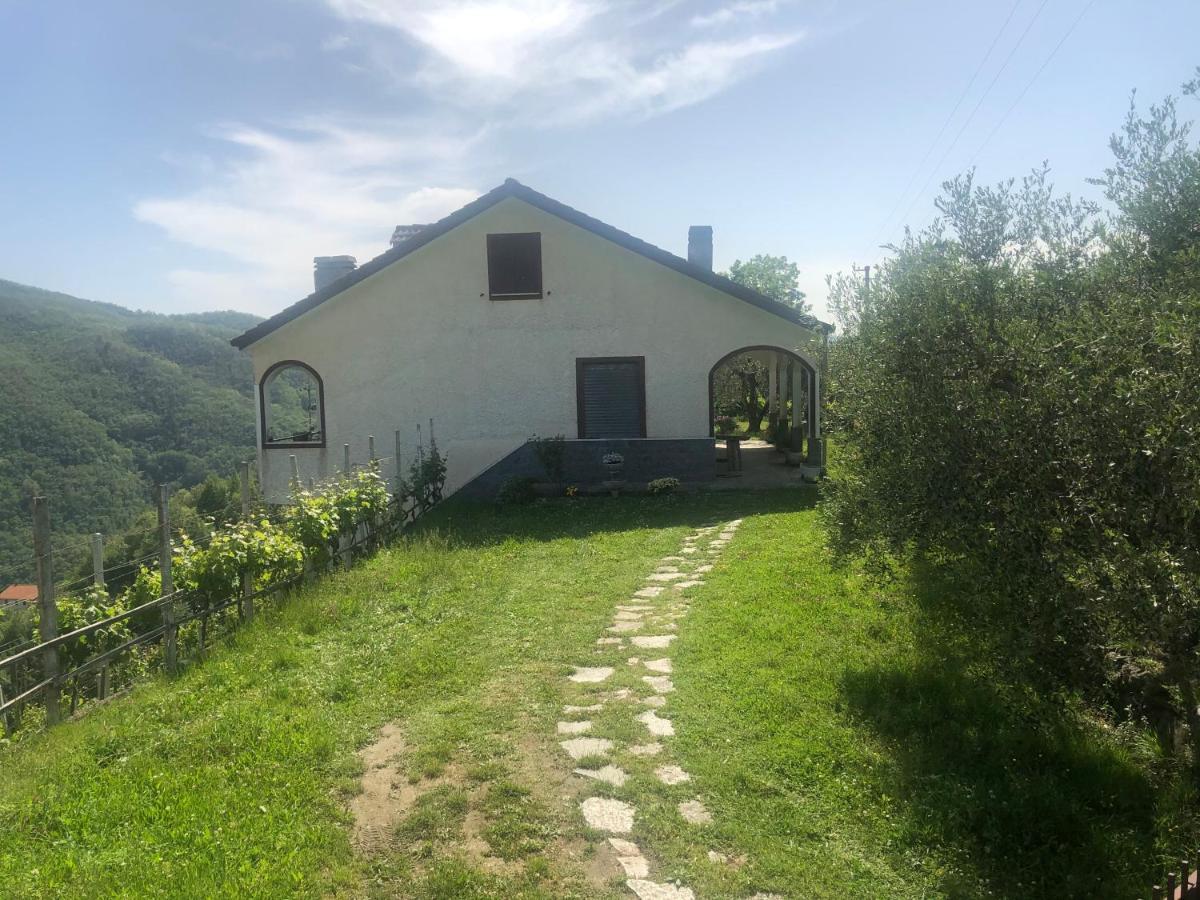 Villa Elena Mezzanego Exteriör bild