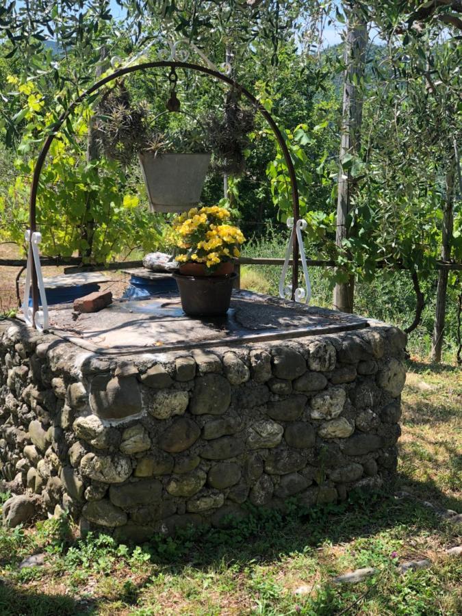 Villa Elena Mezzanego Exteriör bild