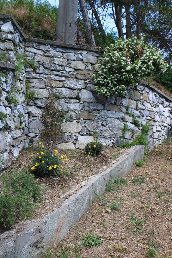 Villa Elena Mezzanego Exteriör bild