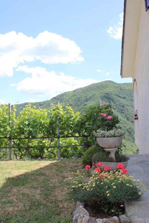 Villa Elena Mezzanego Exteriör bild