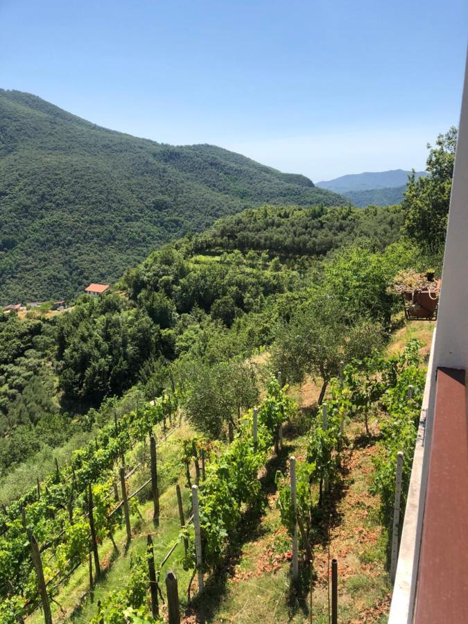 Villa Elena Mezzanego Exteriör bild