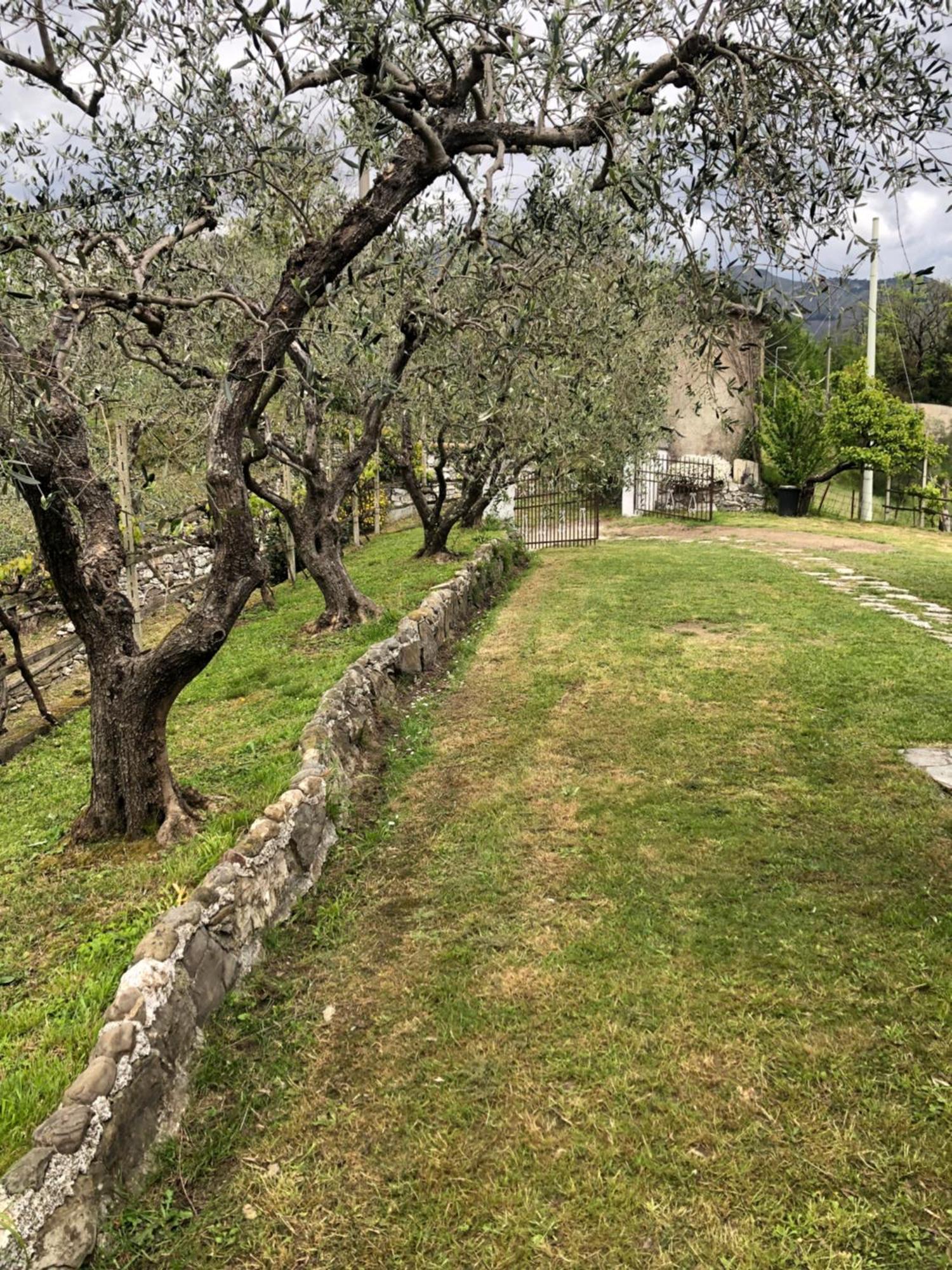 Villa Elena Mezzanego Exteriör bild